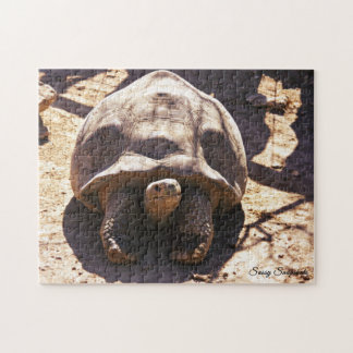 African Spurred Tortoise Jigsaw Puzzle