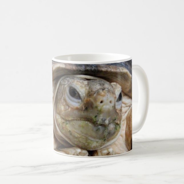 African Spurred Tortoise, Sulcata Tortoise Face Coffee Mug (Front Right)