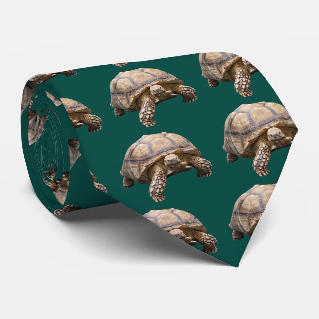 African spurred tortoise tie (Rolled)