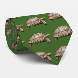 African spurred tortoise tie