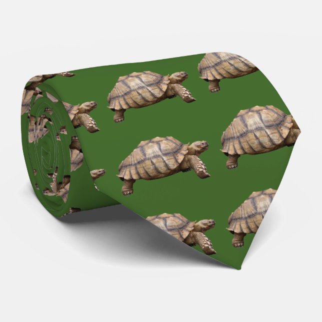 African spurred tortoise tie (Rolled)