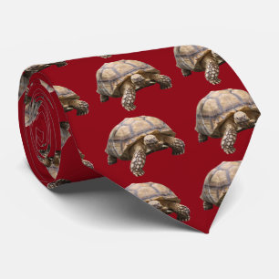 African spurred tortoise tie