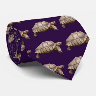 African spurred tortoise tie
