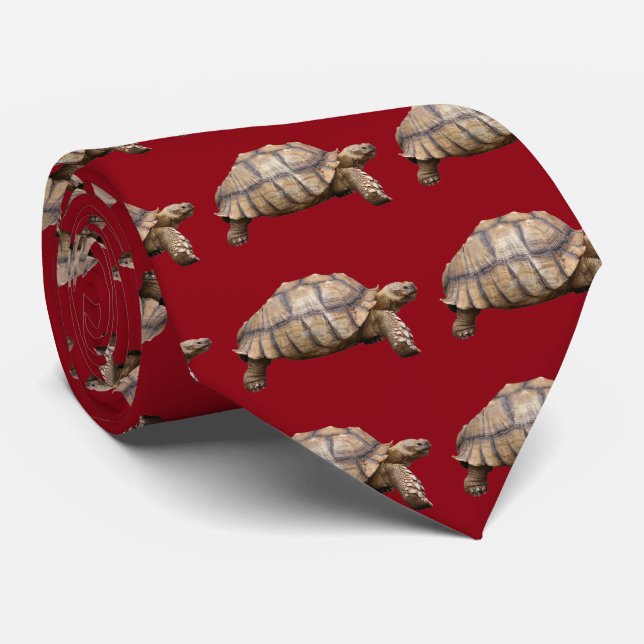 African spurred tortoise tie (Rolled)