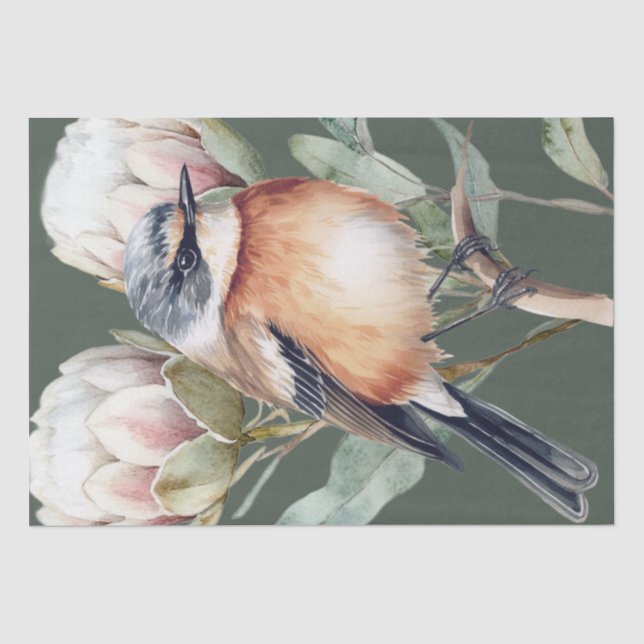 African Stonechat Bird Tissue Paper (Front)