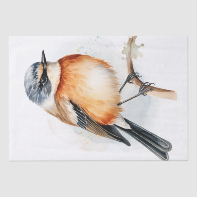 African Stonechat Bird Tissue Paper (Front)