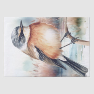African Stonechat Bird Tissue Paper