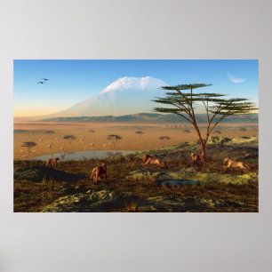 African Sunrise Poster