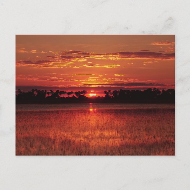 African sunset Botswana postcards (Front)