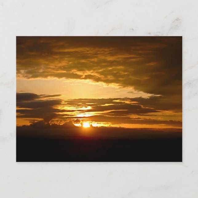 African Sunset Postcard (Front)