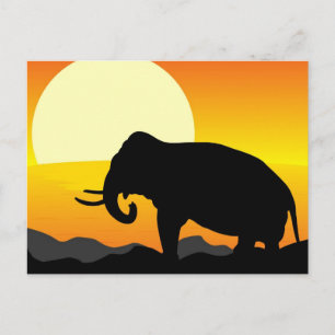 African Sunset Postcard