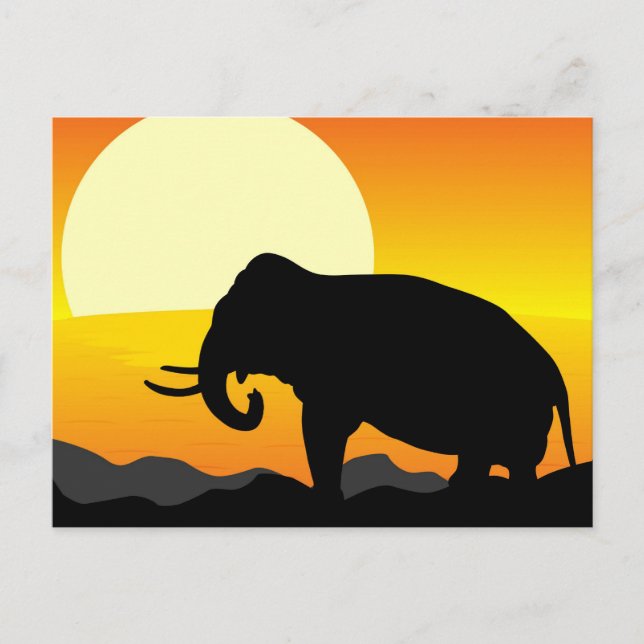 African Sunset Postcard (Front)