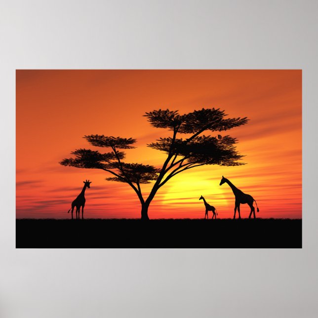 African Sunset Poster (Front)