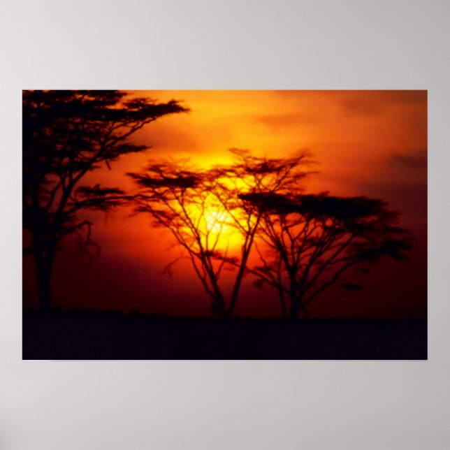 African Sunset Poster (Front)