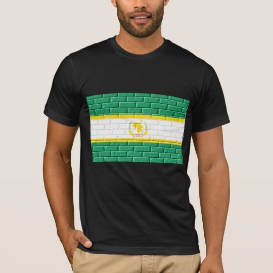 African Union Painted on Bricks T-Shirt