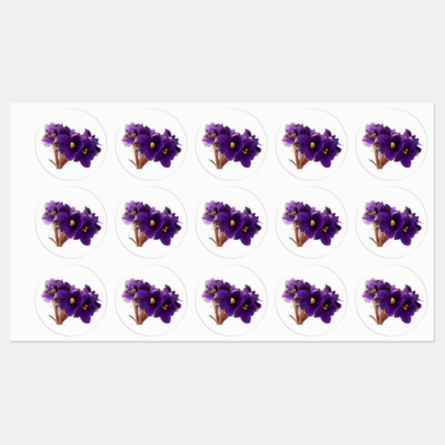 African violet (Sheet)