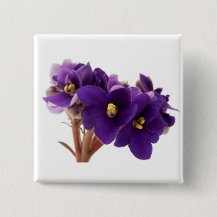 African violet 15 cm square badge