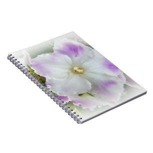 African Violet Blossom Notebook