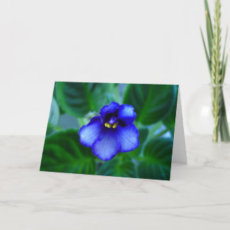 African Violet Card