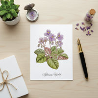 African Violet Curtis Botanical