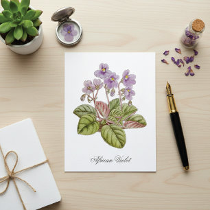 African Violet Curtis Botanical Postcard