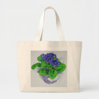 African Violet