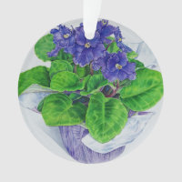 African Violet