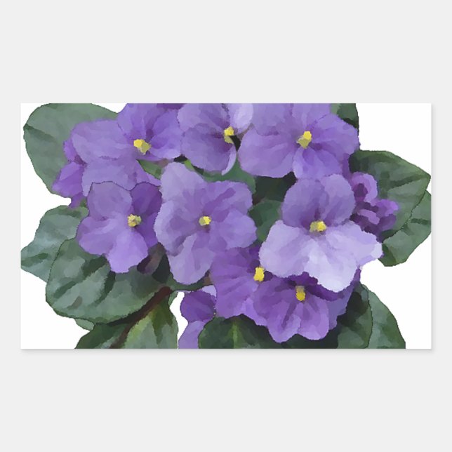 African Violet Purple Garden Flower Rectangular Sticker (Front)