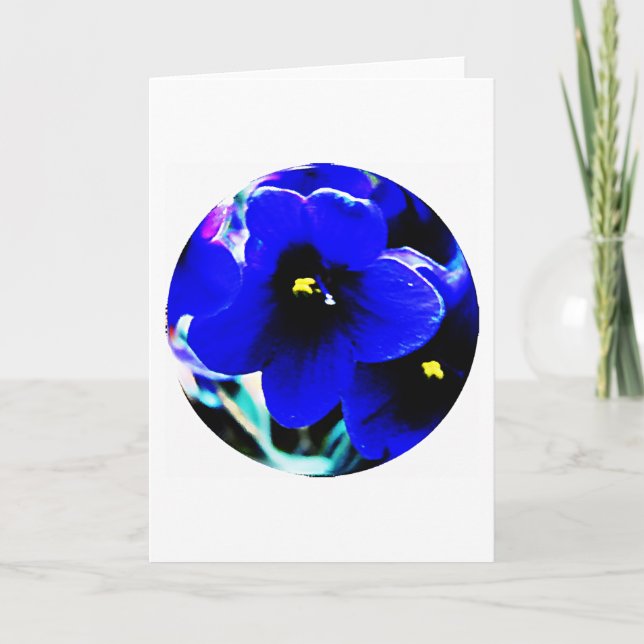African Violets Card (Front)