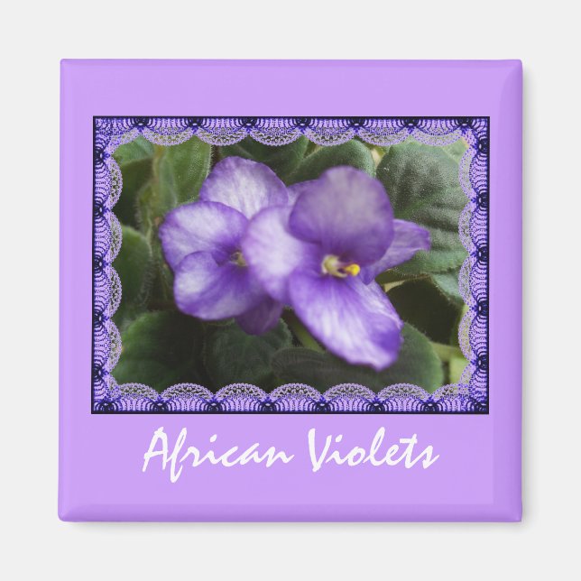 African Violets Magnet (Front)