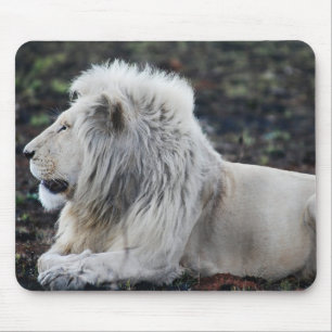 African White Lion Profile photo Mouse Mat