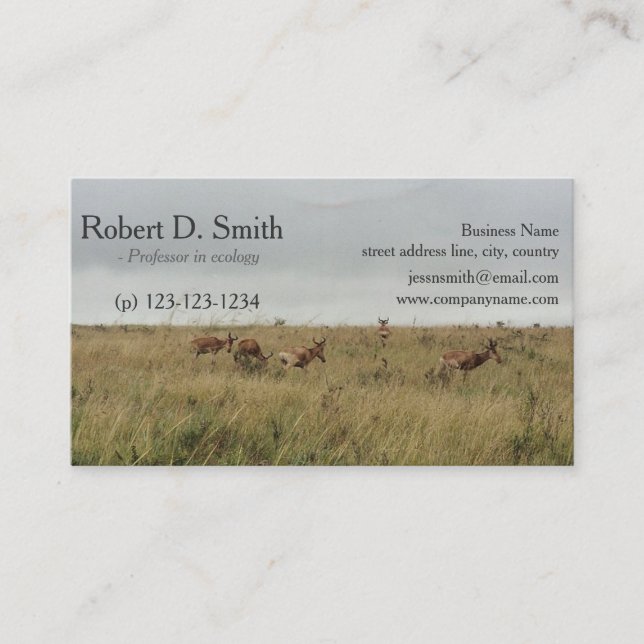 African wild animal deer science business cards (Front)