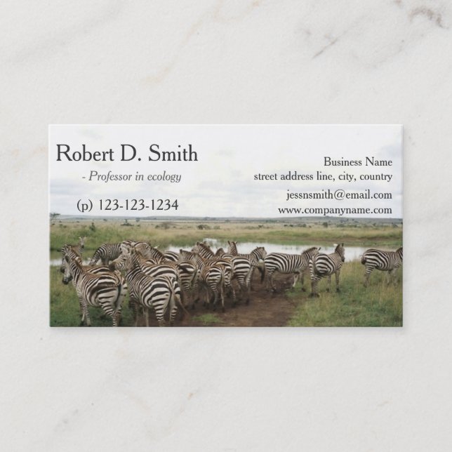 African wild animal zebra science professional business card (Front)