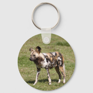 african-wild-dog-016 key ring