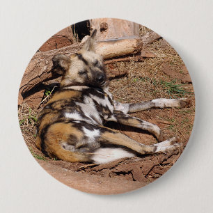 african-wild-dog-018 10 cm round badge