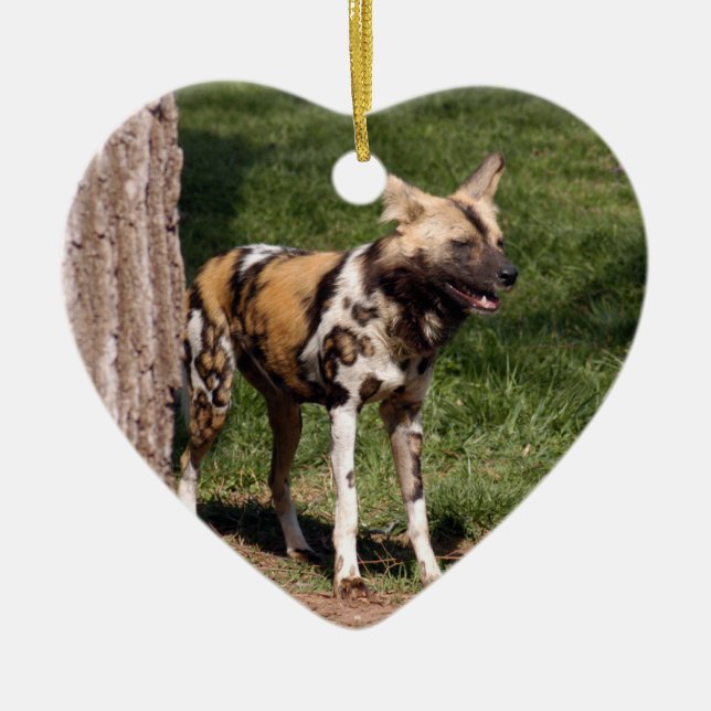 African Wild Dog Christmas Ornament (Front)