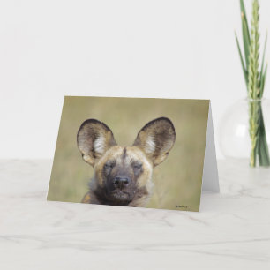 African Wild Dog greeting card