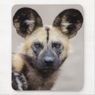 African Wild Dog (Painted Dog) Mouse Mat