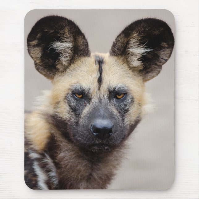 African Wild Dog (Painted Dog) Mouse Mat (Front)