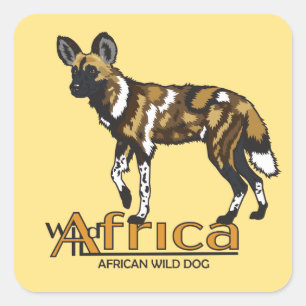 African wild dog. Wild Africa Square Sticker