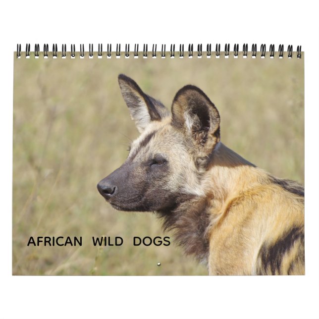 AFRICAN WILD DOGS CALENDAR (Cover)