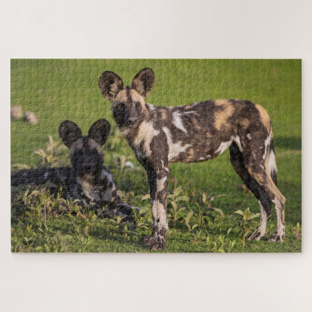 African Wild Dogs in Tanzania Jigsaw Puzzle (Horizontal)