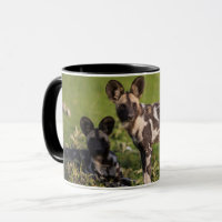 African Wild Dogs in Tanzania