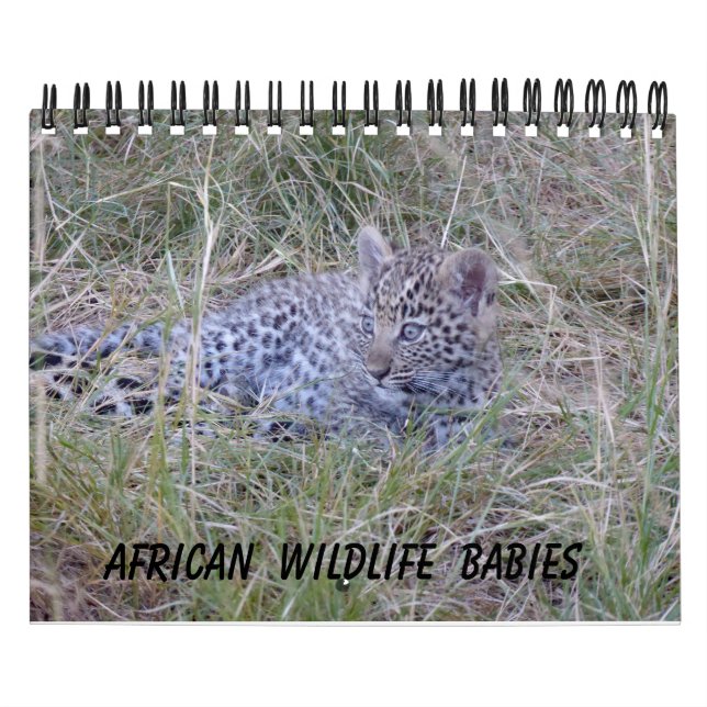 AFRICAN WILDLIFE BABIES CALENDAR (Cover)