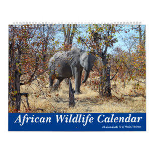 African Wildlife Calendar