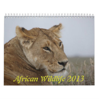 African wildlife calendar 2013
