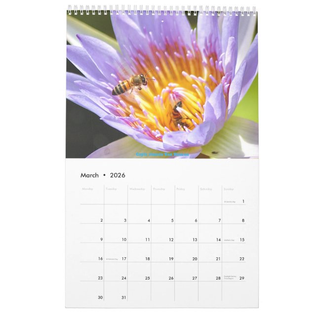 African Wildlife Calendar 2025 (Mar 2026)