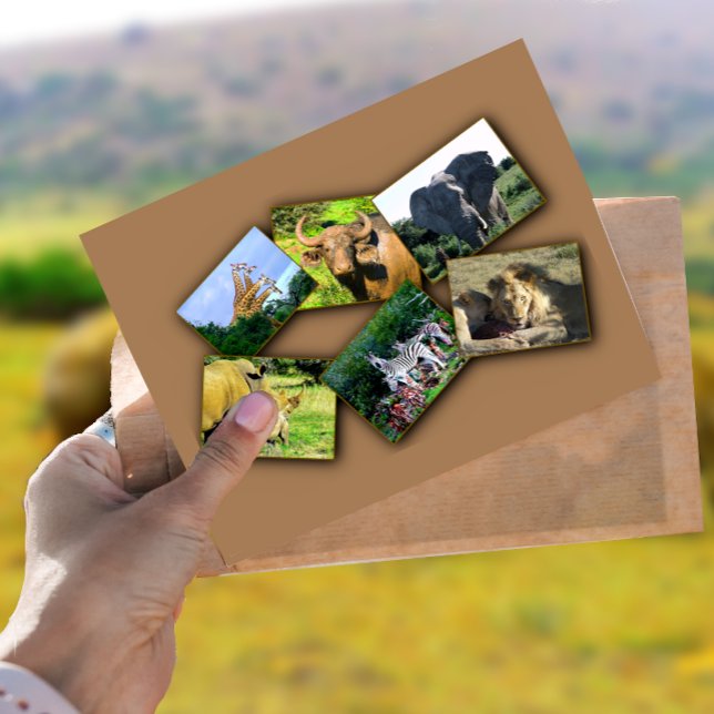 African Wildlife Collage dark shadow Postcard (Creator Uploaded)