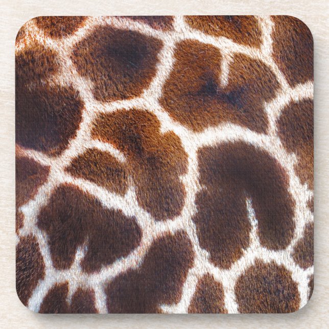 African Wildlife Giraffe Fur Photo Design Coaster (Front)