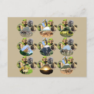 African Wildlife Lion Pawprint 9 Collage Postcard